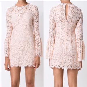Rachel Zoe NWT Blush Lace Dress